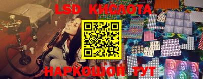 PSILOCYBIN Камышлов