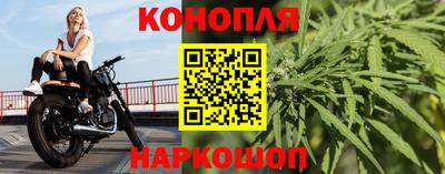 PSILOCYBIN Камышлов