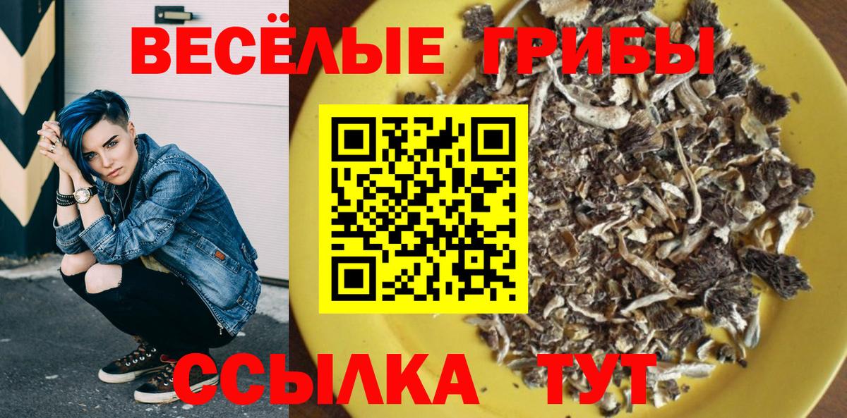 Киреевск  Галлюциногенные грибы Psilocybine cubensis  Псилоцибиновые грибы MAGIC MUSHROOMS  где можно купить наркотик  Вход с VPN 