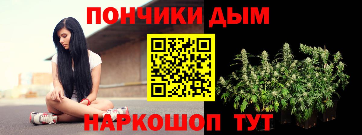 Бошки Шишки марихуана Киреевск